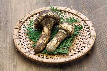 Matsutake Mushrooms.