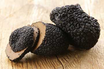 Black Truffles.